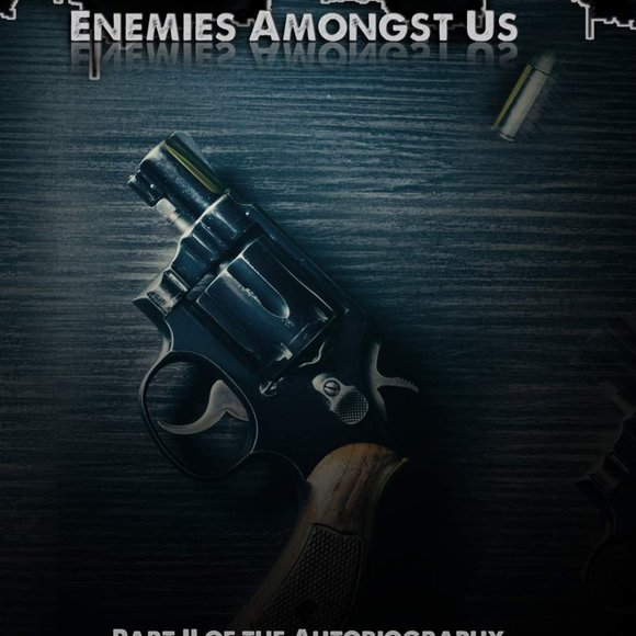 Enemies Amongst Us Paperback – NEW - Picture 1 of 2